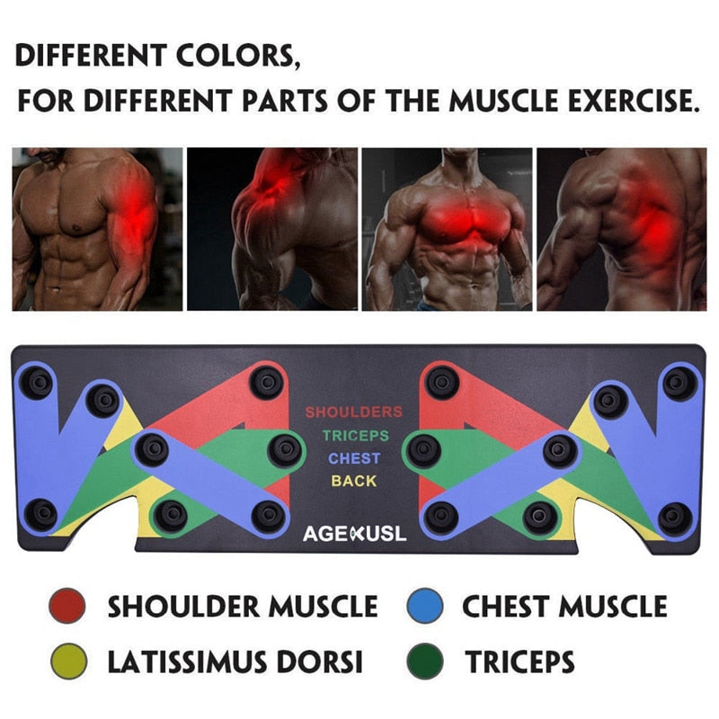 Different Parts of the Muscle Excercise in 9 in 1 Push up Rack | Pure Glow Studio